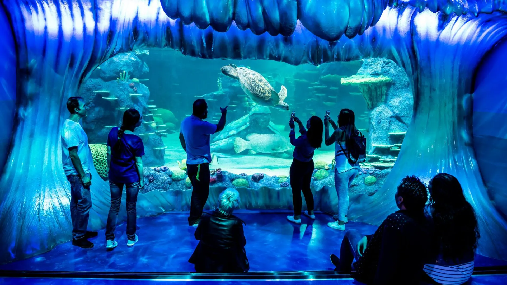 Inside Crowd in front of Tank